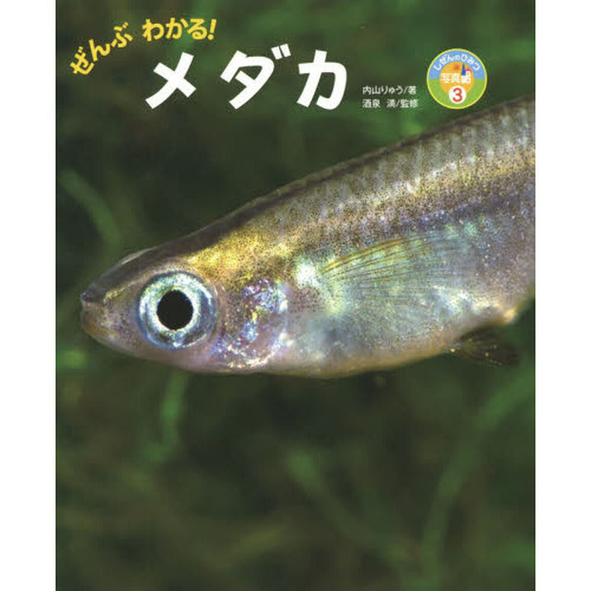 ぜんぶわかる！メダカ