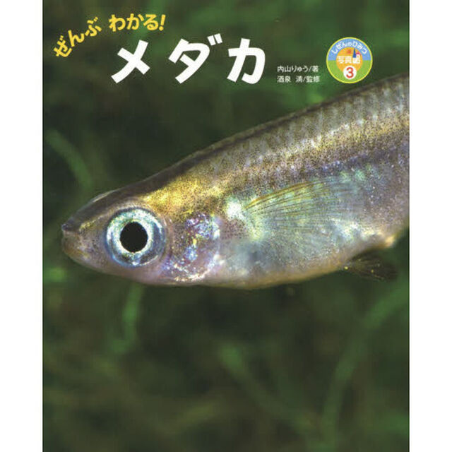 ぜんぶわかる！メダカ