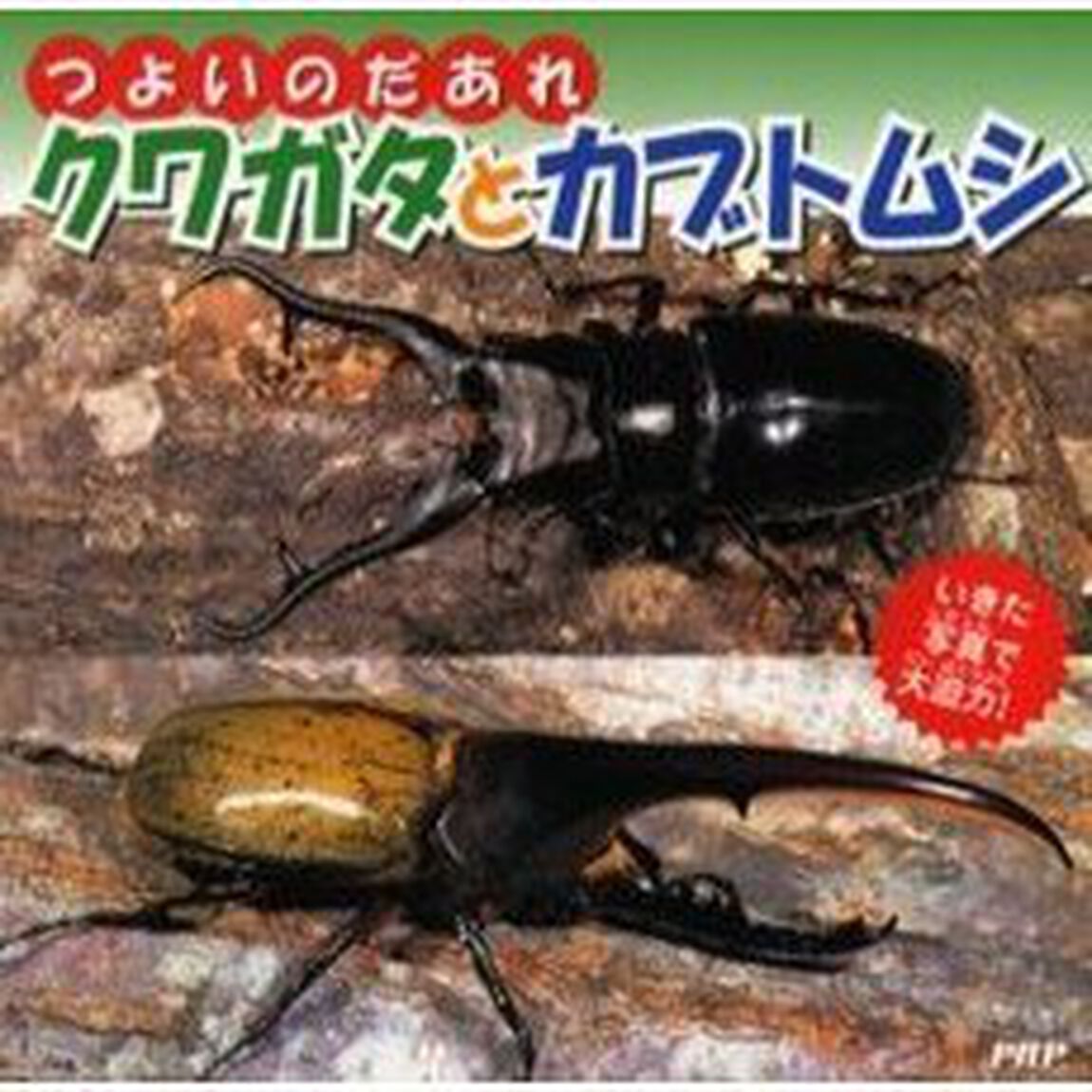 つよいのだあれクワガタとカブトムシ　いきた写真で大迫力！