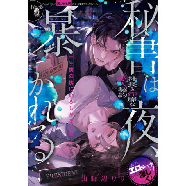 秘書は夜、暴かれる社長と淫靡な愛人契約