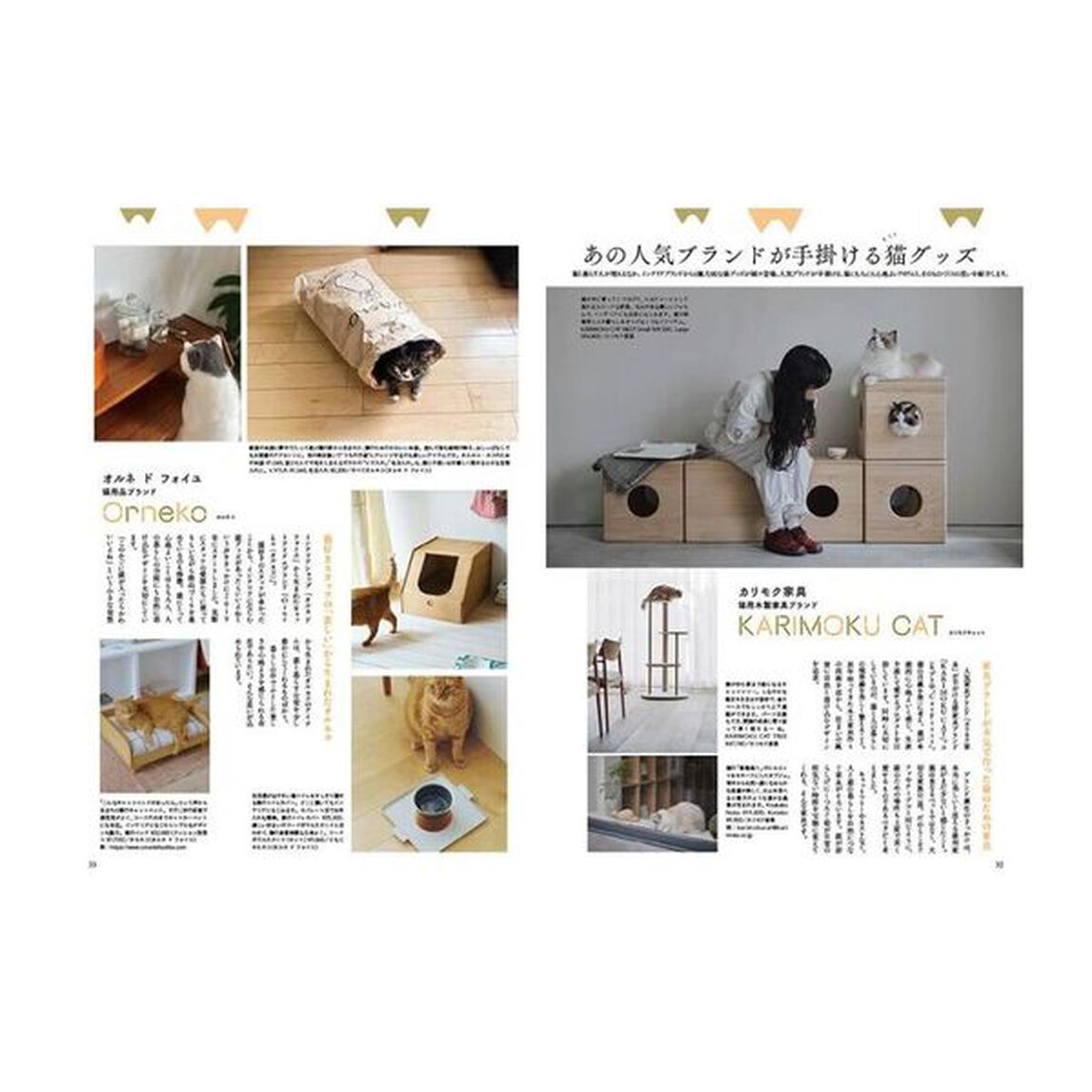 にゃんネル　ねこと私の幸せな暮らし「決定版」