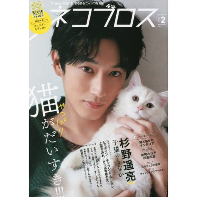 ネコブロスvol.2「ＴＶ　Ｂｒｏｓ．がおくる、まるまるニャンコな１冊！やっぱり猫がだいすき！！！」