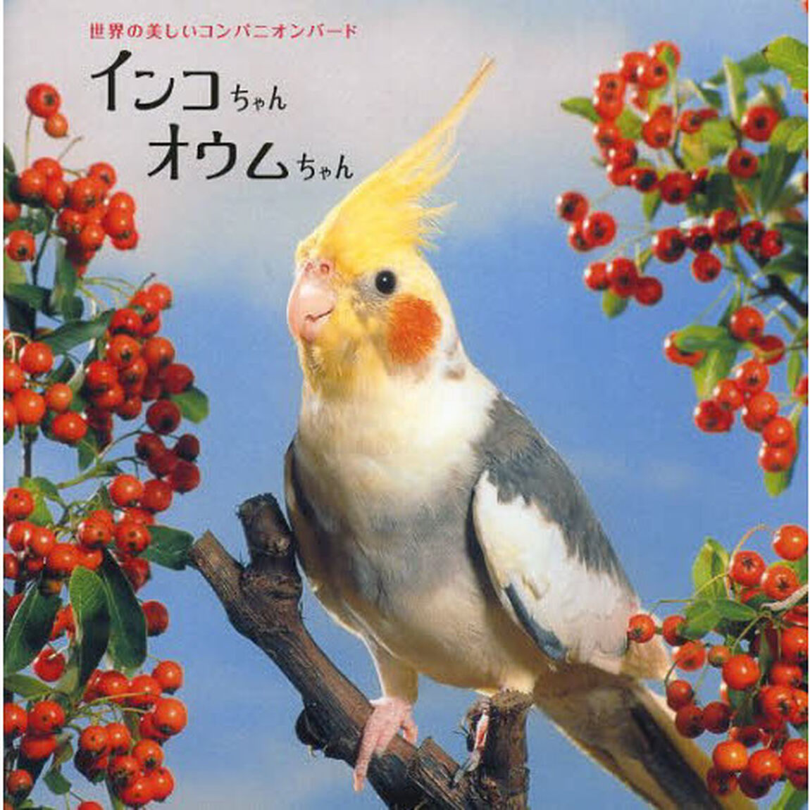 インコちゃんオウムちゃん　世界の美しいコンパニオンバード