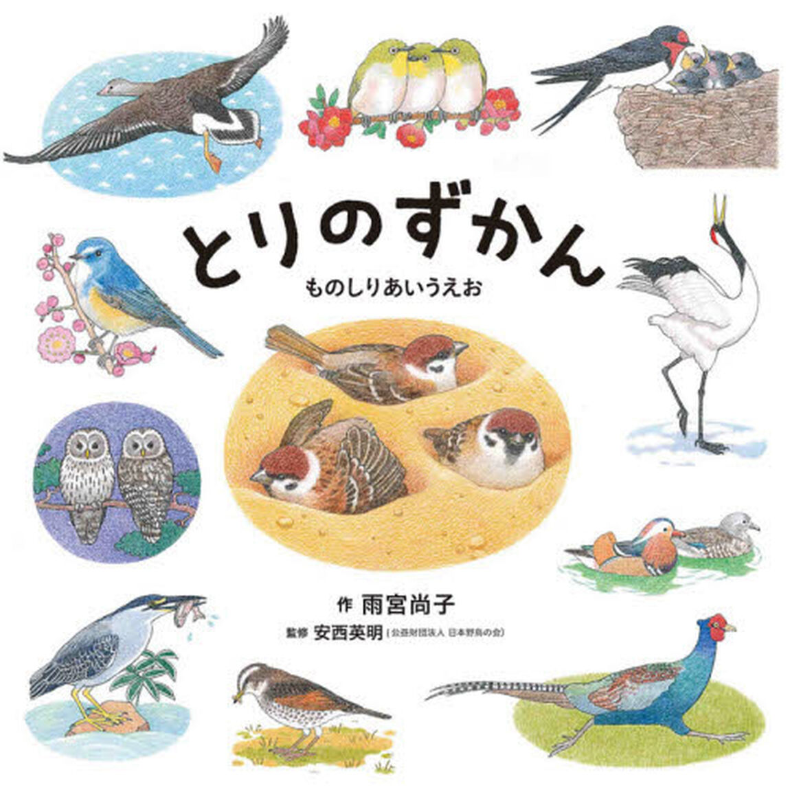 とりのずかん
