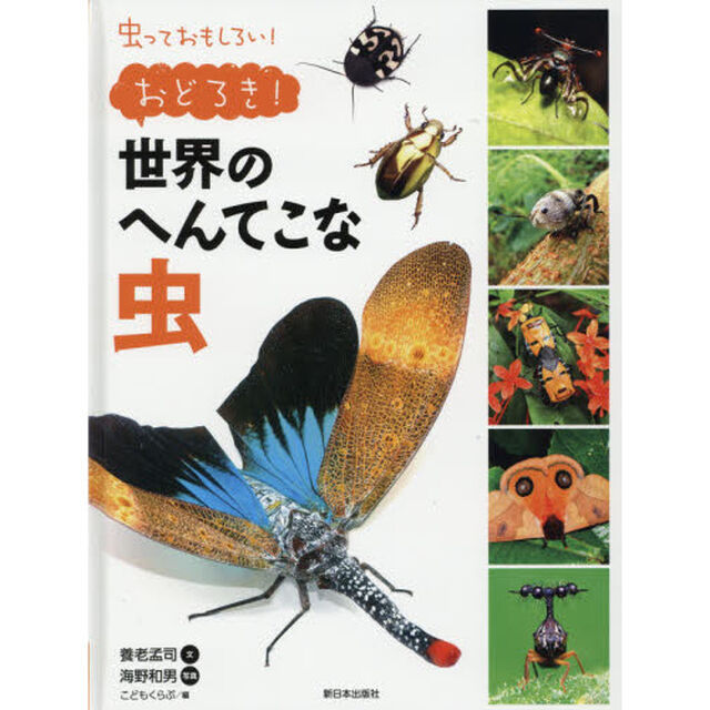 虫っておもしろい！　〔４〕「おどろき！世界のへんてこな虫」