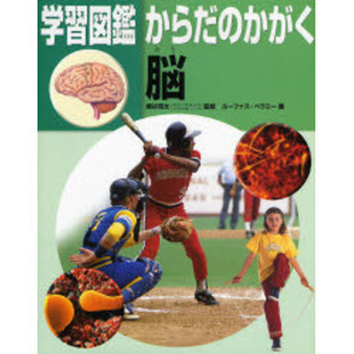 学習図鑑からだのかがく脳