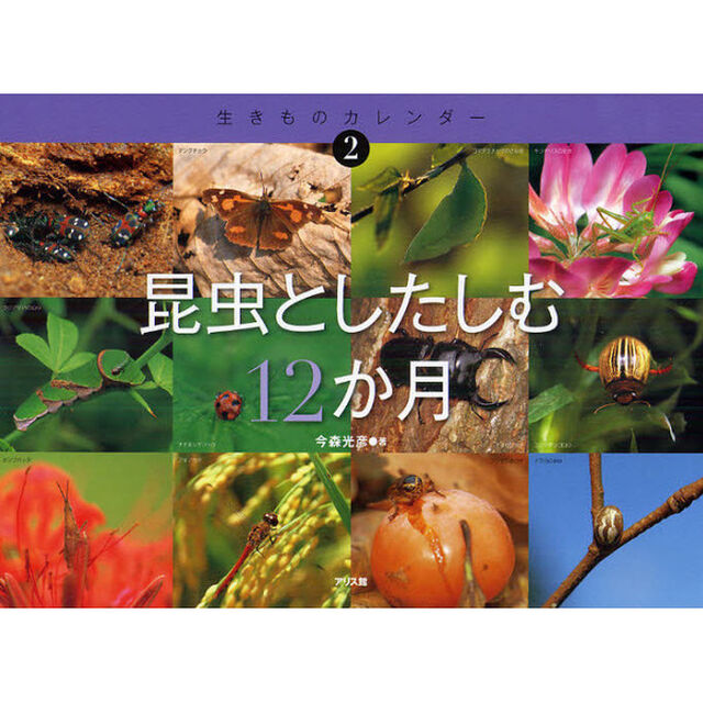 昆虫としたしむ１２か月