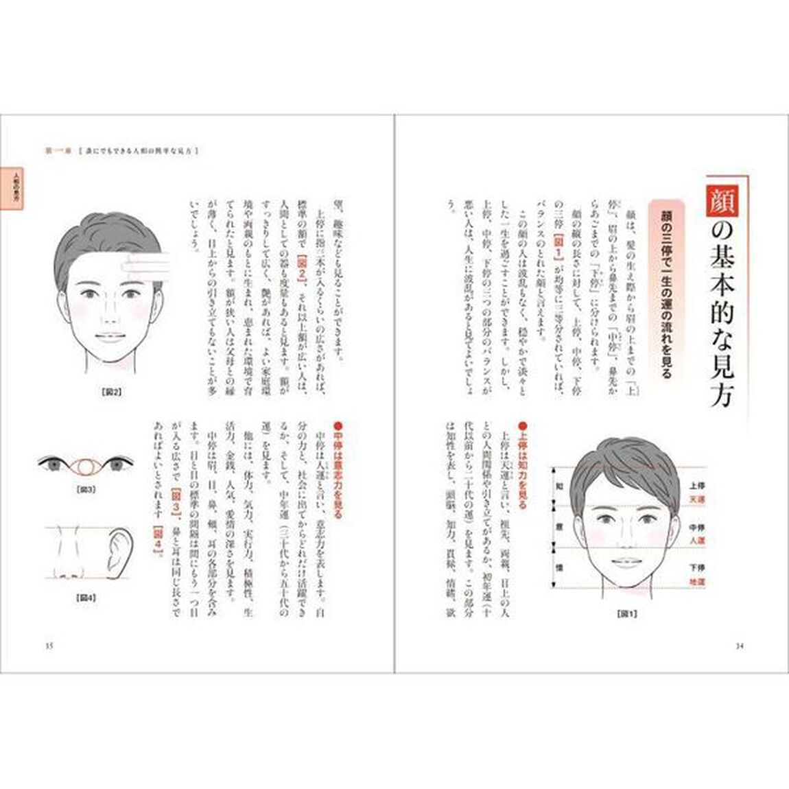 基礎からわかる人相学の完全独習「改訂版」