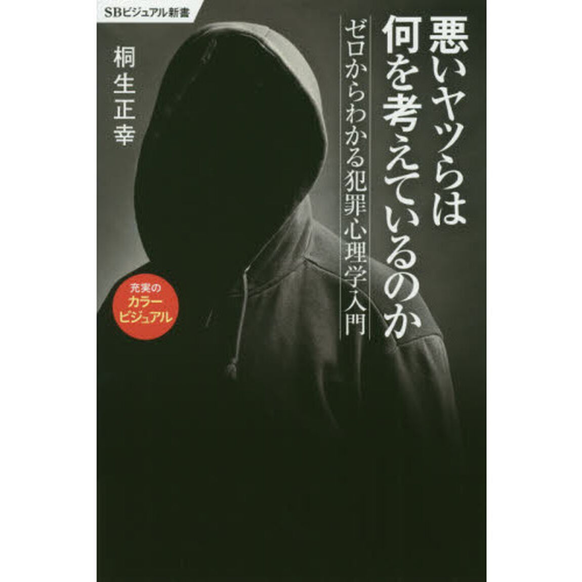 悪いヤツらは何を考えているのか　ゼロからわかる犯罪心理学入門