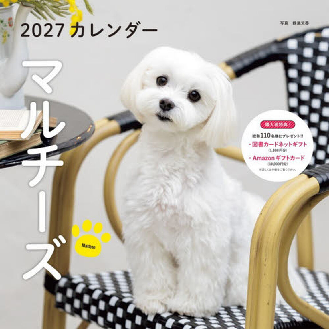 &rsquo;２７　カレンダーマルチーズ