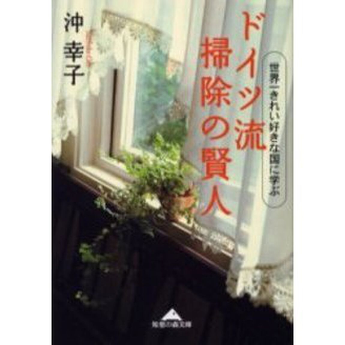 ドイツ流掃除の賢人　世界一きれい好きな国に学ぶ