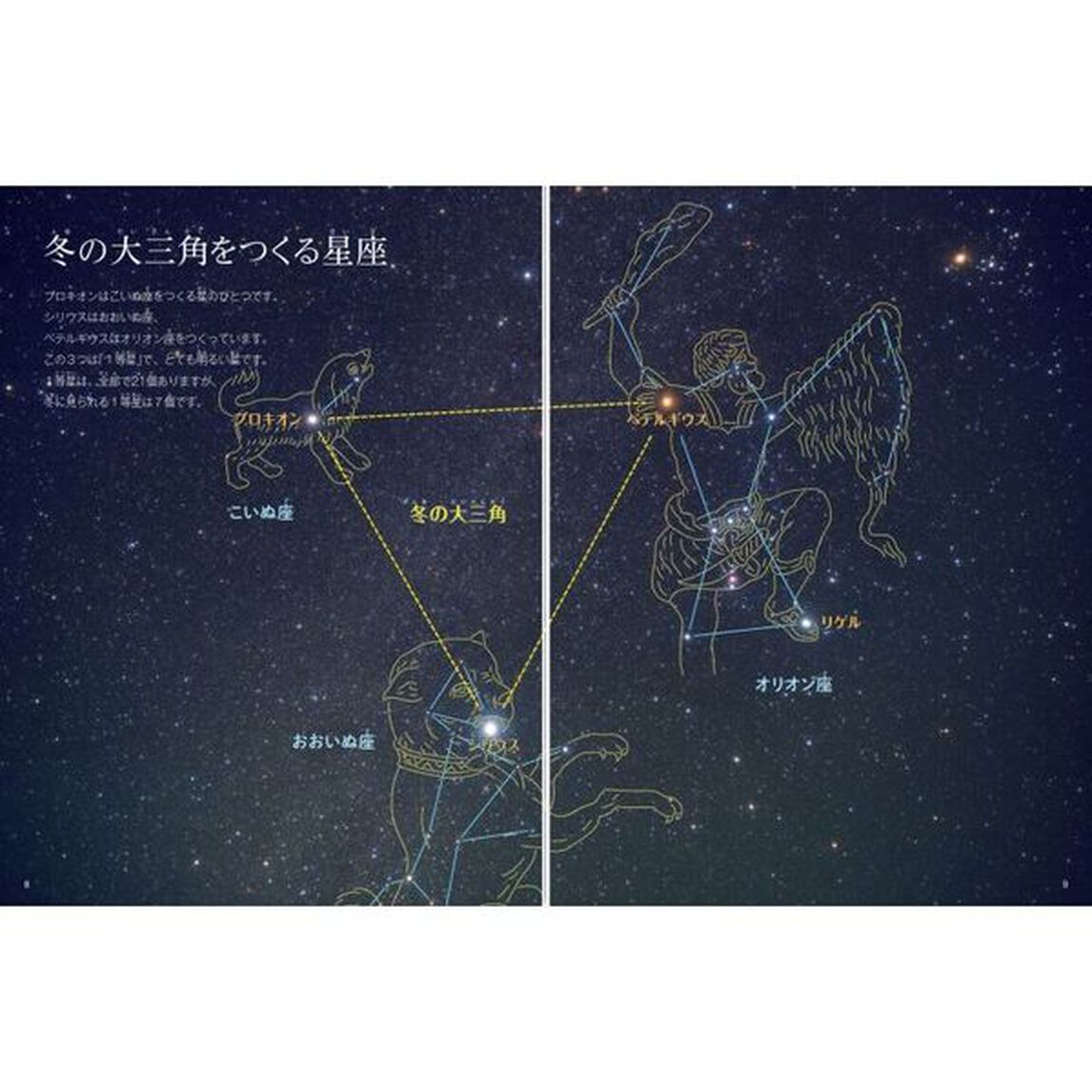 冬の星と星座　冬の星と星座の動きがわかる