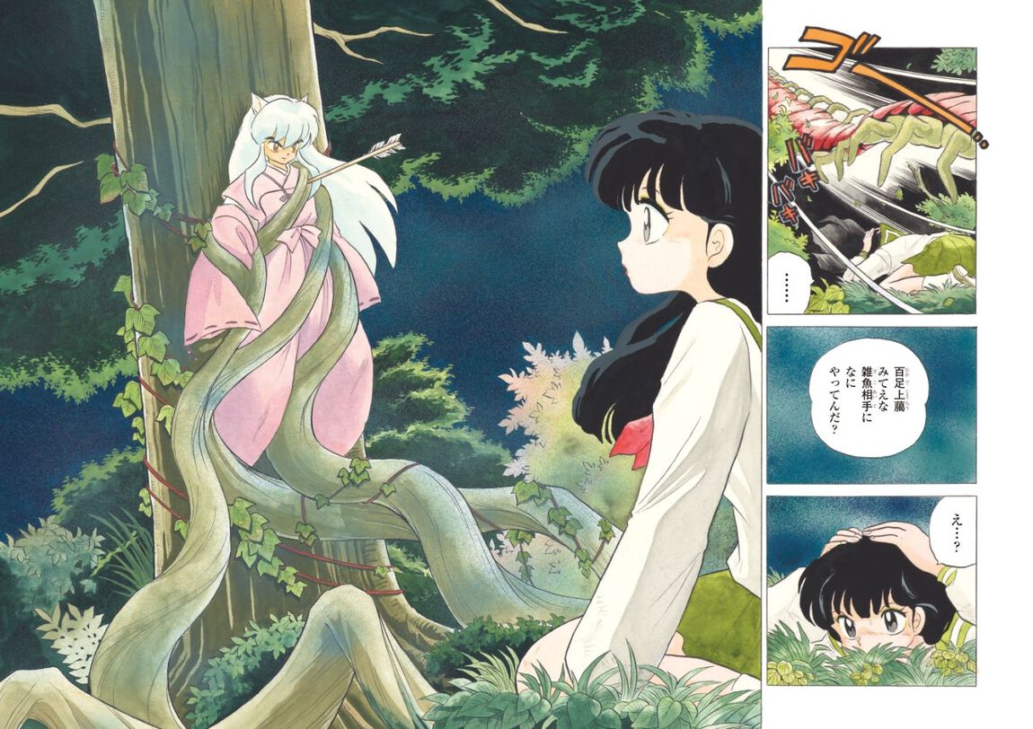 犬夜叉　戦国御伽草子～３０周年記念原画集＆インタビュー集～