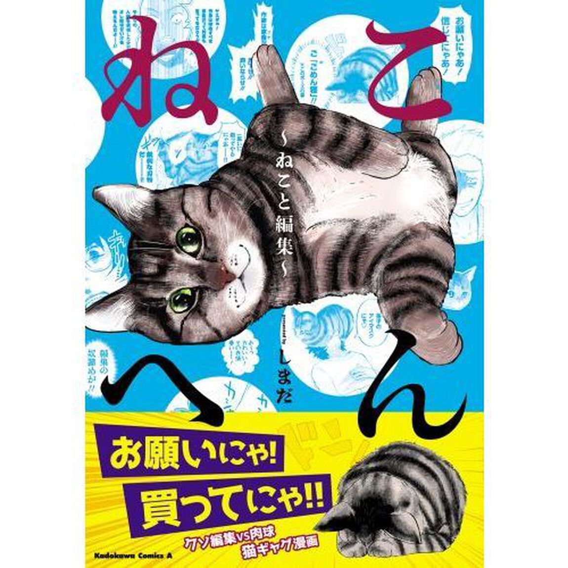 ねこへん　ねこと編集