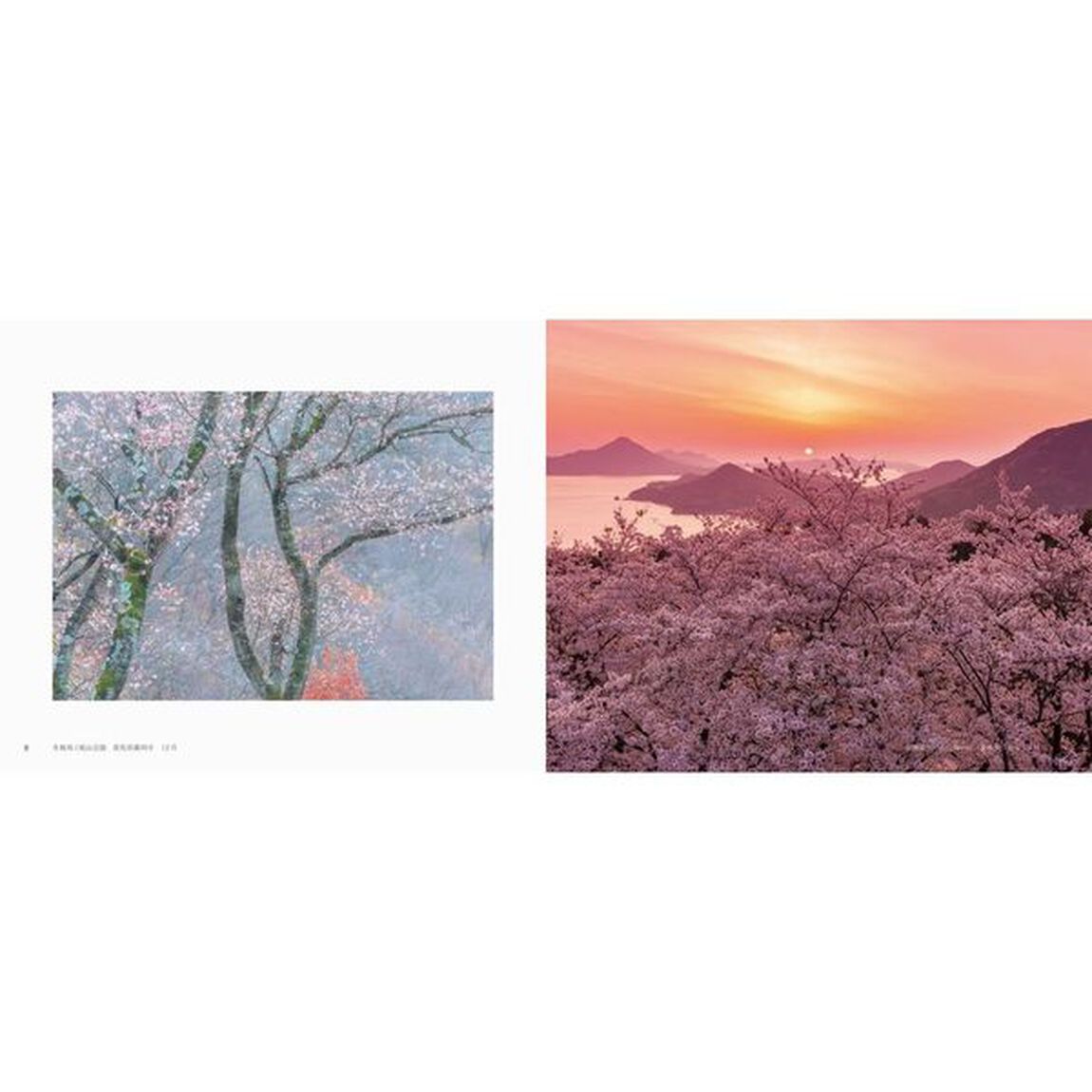 日本の美しい幻想風景