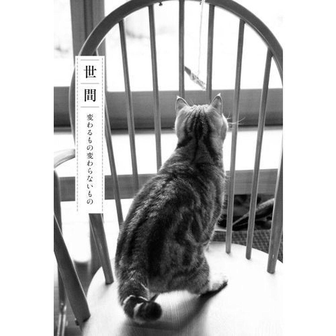 晴れの日散歩