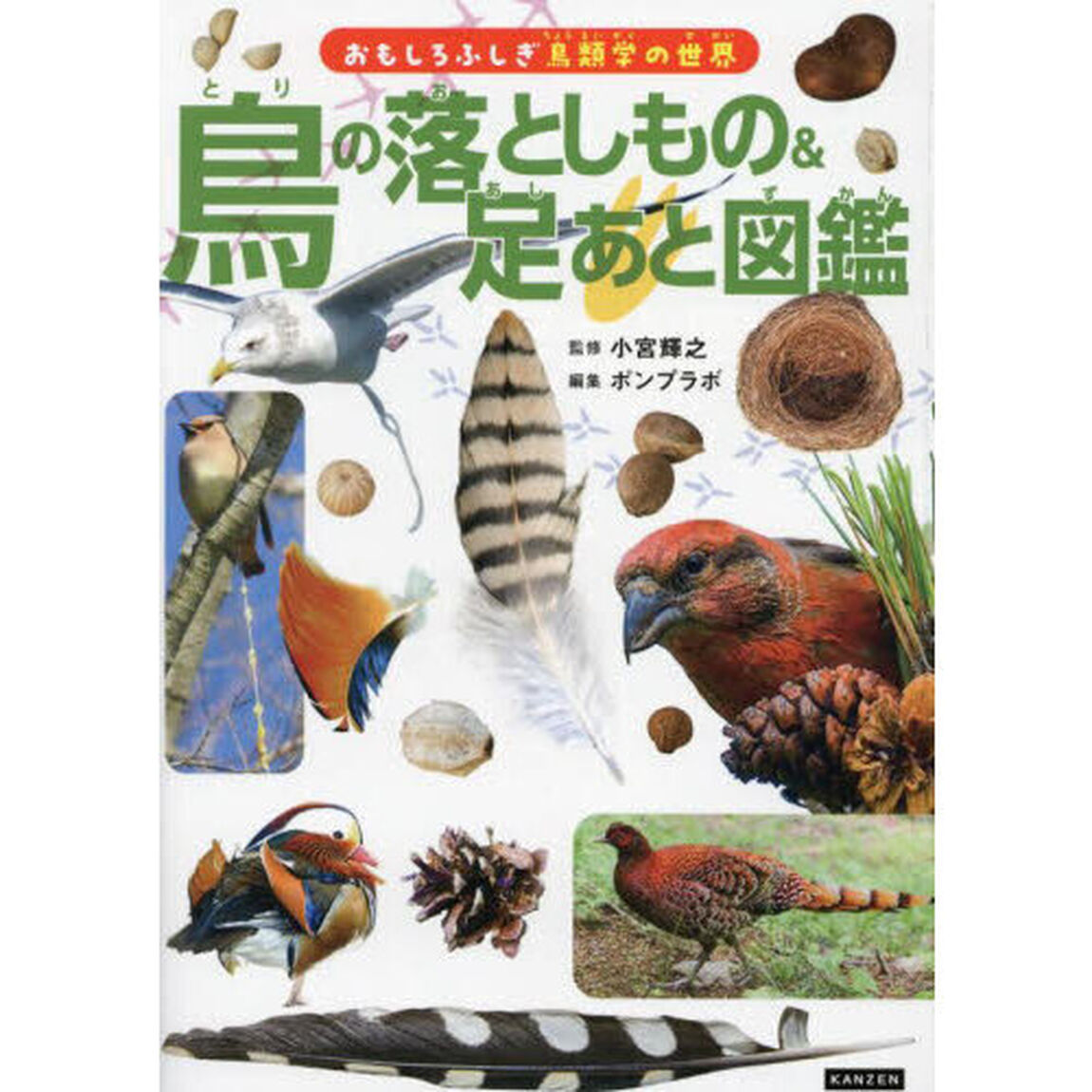 鳥の落としもの＆足あと図鑑