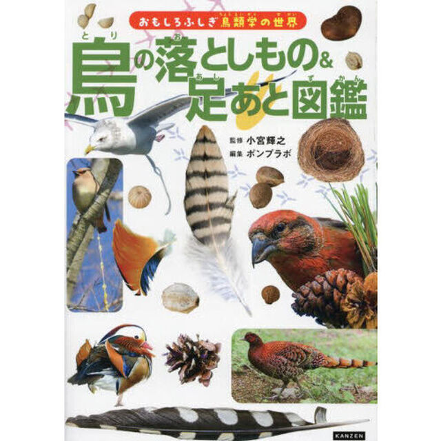 鳥の落としもの＆足あと図鑑