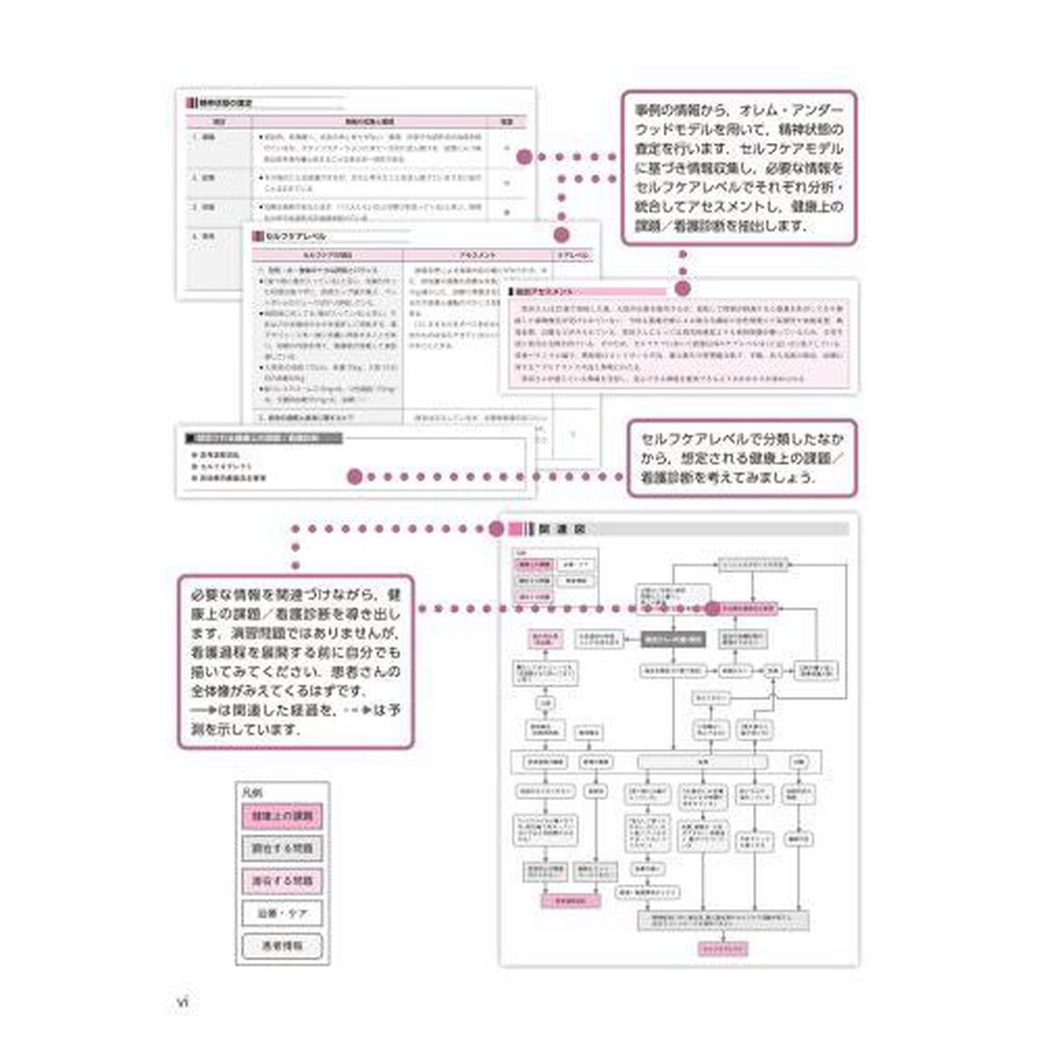 事例で学ぶ看護過程精神看護学　みてわかるできる　映像