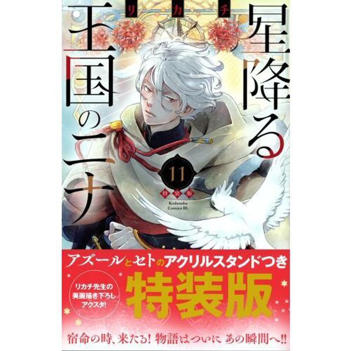 星降る王国のニナ 11 特装版