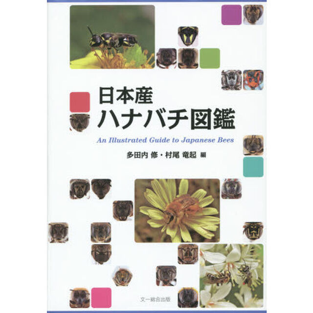 日本産ハナバチ図鑑
