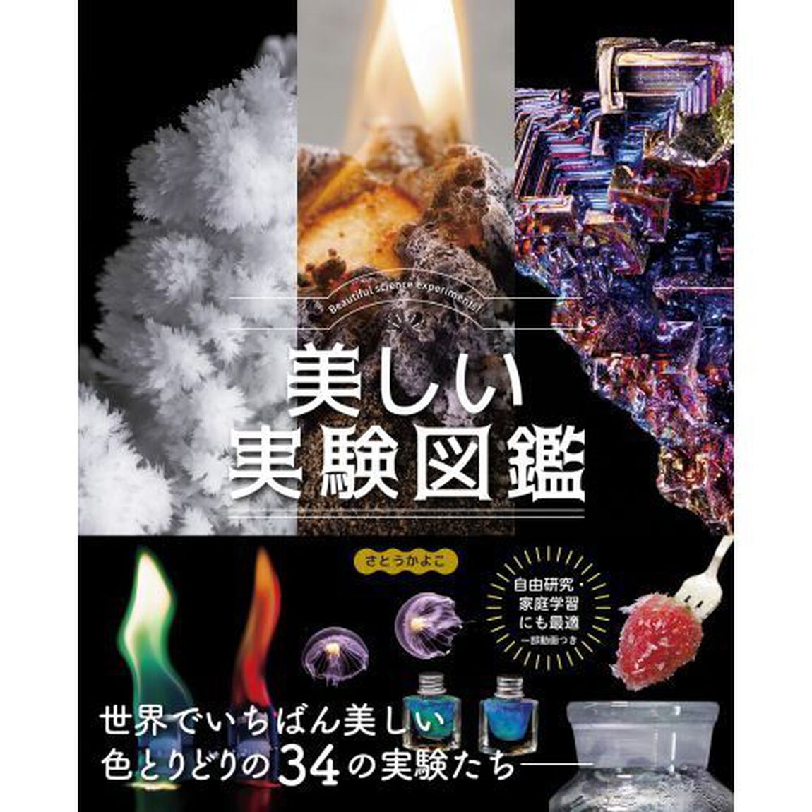 美しい実験図鑑　世界でいちばん美しい３４の実験たち