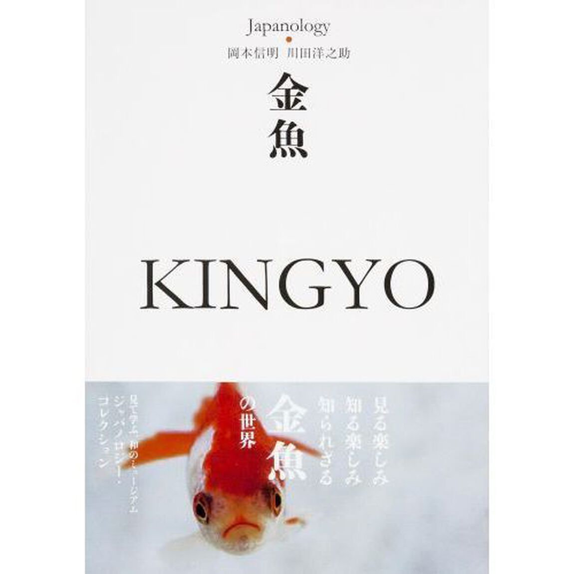 金魚
