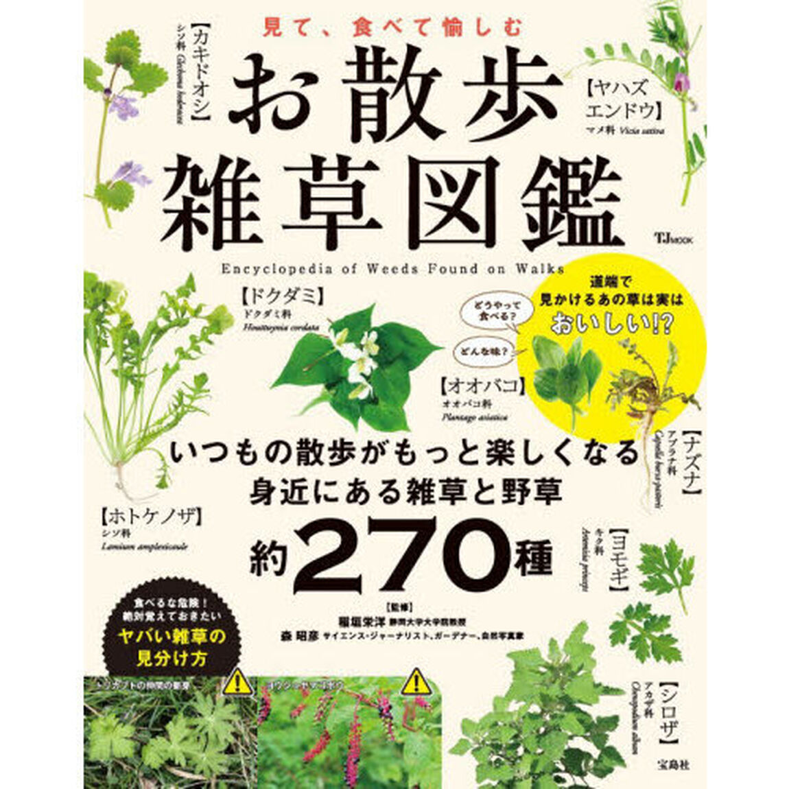 見て、食べて愉しむお散歩雑草図鑑