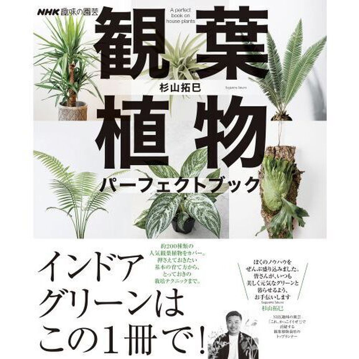 観葉植物パーフェクトブック