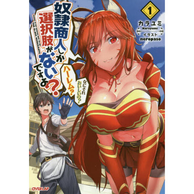 奴隷商人しか選択肢がないですよ？　ハーレム？なにそれおいしいの？　１