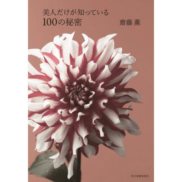 美人だけが知っている１００の秘密