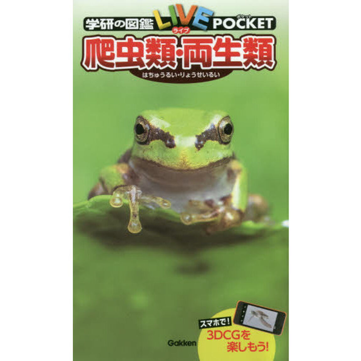 爬虫類・両生類