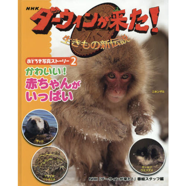 ＮＨＫダーウィンが来た！生きもの新伝説おどろき写真ストーリー　２「かわいい！赤ちゃんがいっぱい」