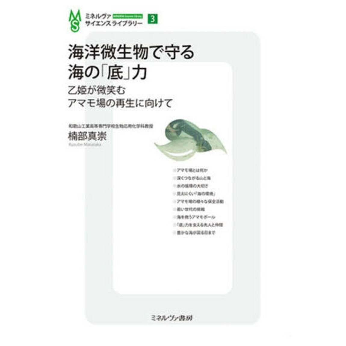 海洋微生物で守る海の「底」力　乙姫が微笑むアマモ場の再生に向けて
