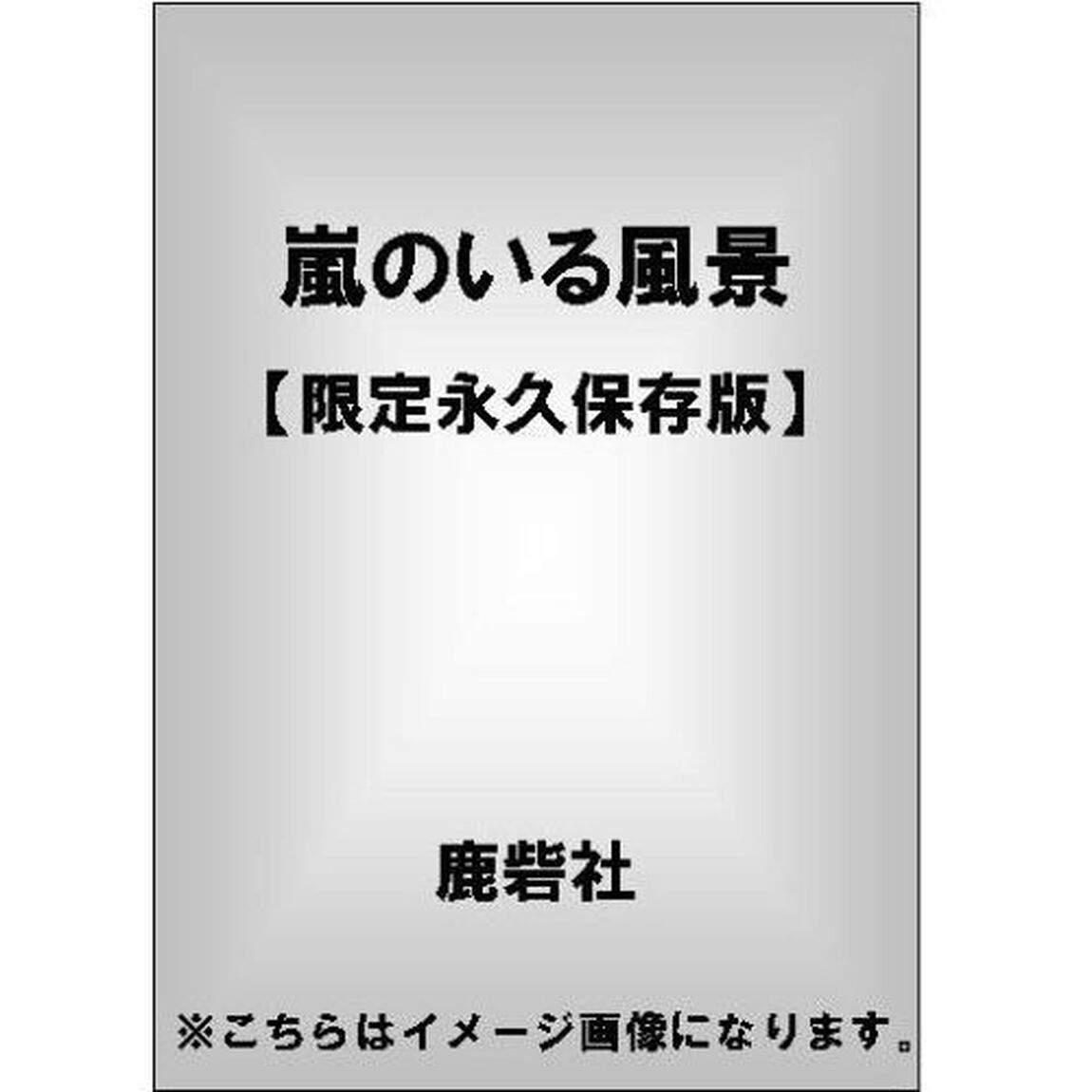 嵐のいる風景　限定永久保存版　２０１０－２０１１最新フォト・レポート