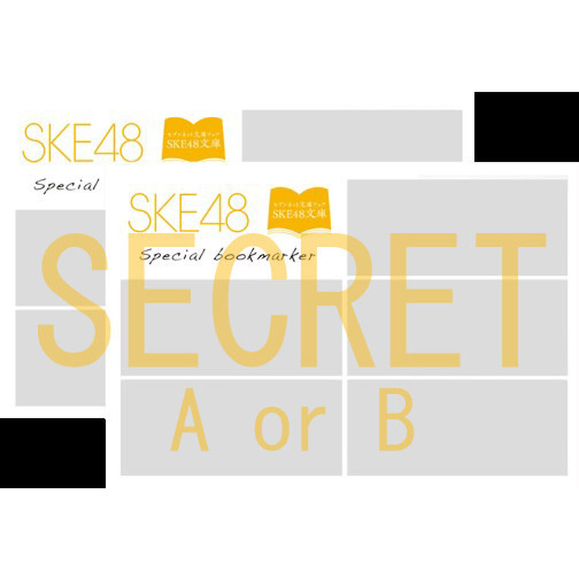 【SKE48文庫2021】全20冊セット＋「SKE48文庫記念しおりセット（個別20種＋ランダム5種）」（オリジナルマスクケース特典付き）