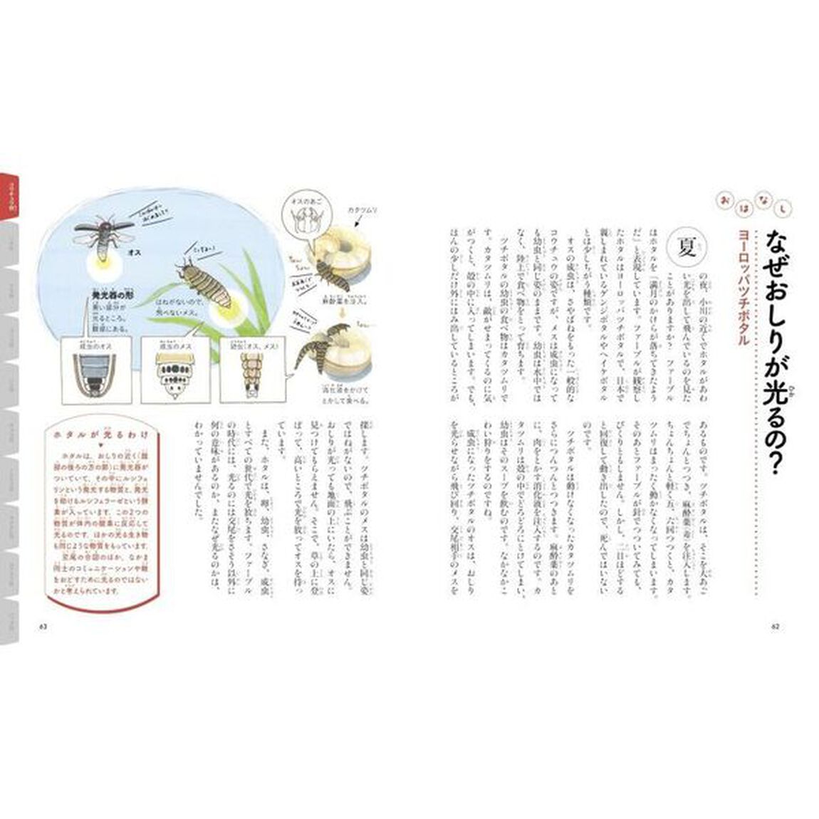ファーブルに学ぶ昆虫大じてん