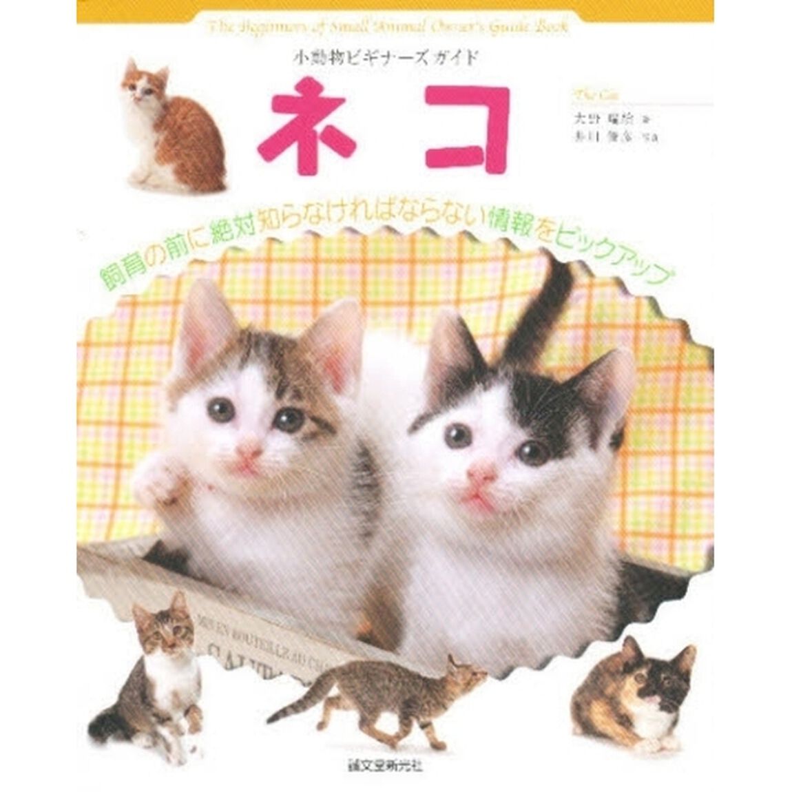 ネコ
