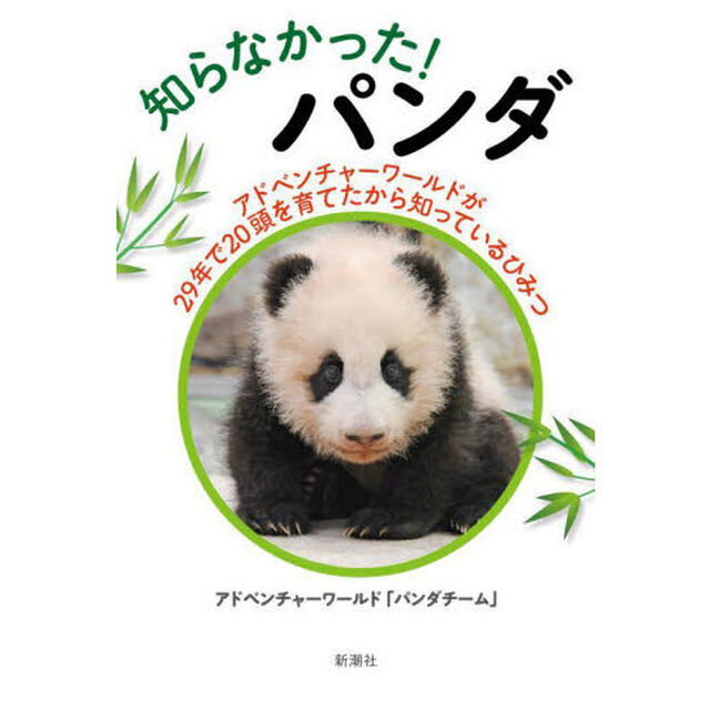 知らなかった！パンダ　アドベンチャーワールドが２９年で２０頭を育てたから知っているひみつ