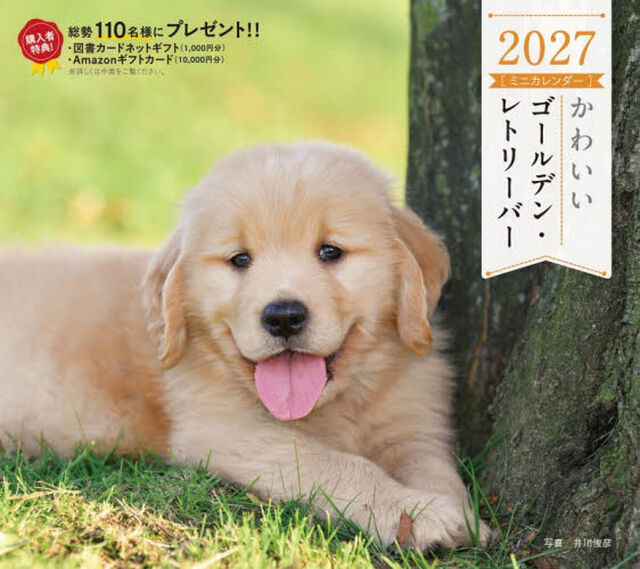 &rsquo;２７　カレンダーかわいいゴールデン・レ