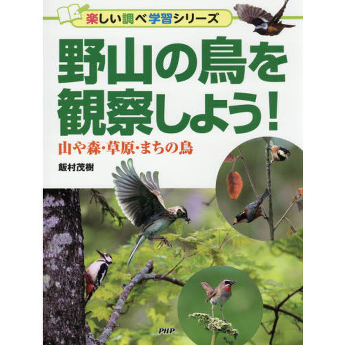 野山の鳥を観察しよう！　山や森・草原・まちの鳥