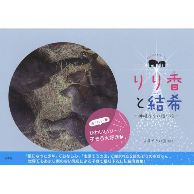 りり香(か)と結希(ゆうき) 神様からの贈り物
