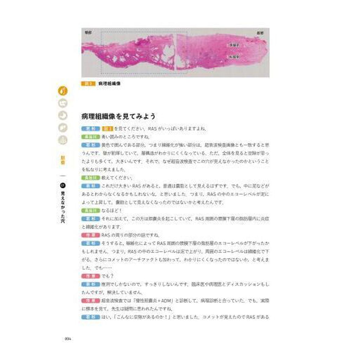 対比で読み解く超音波画像&times;病理組織像