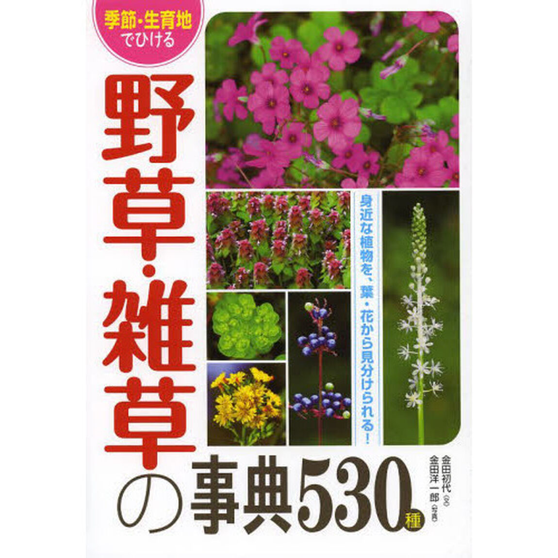 季節・生育地でひける野草・雑草の事典５３０種