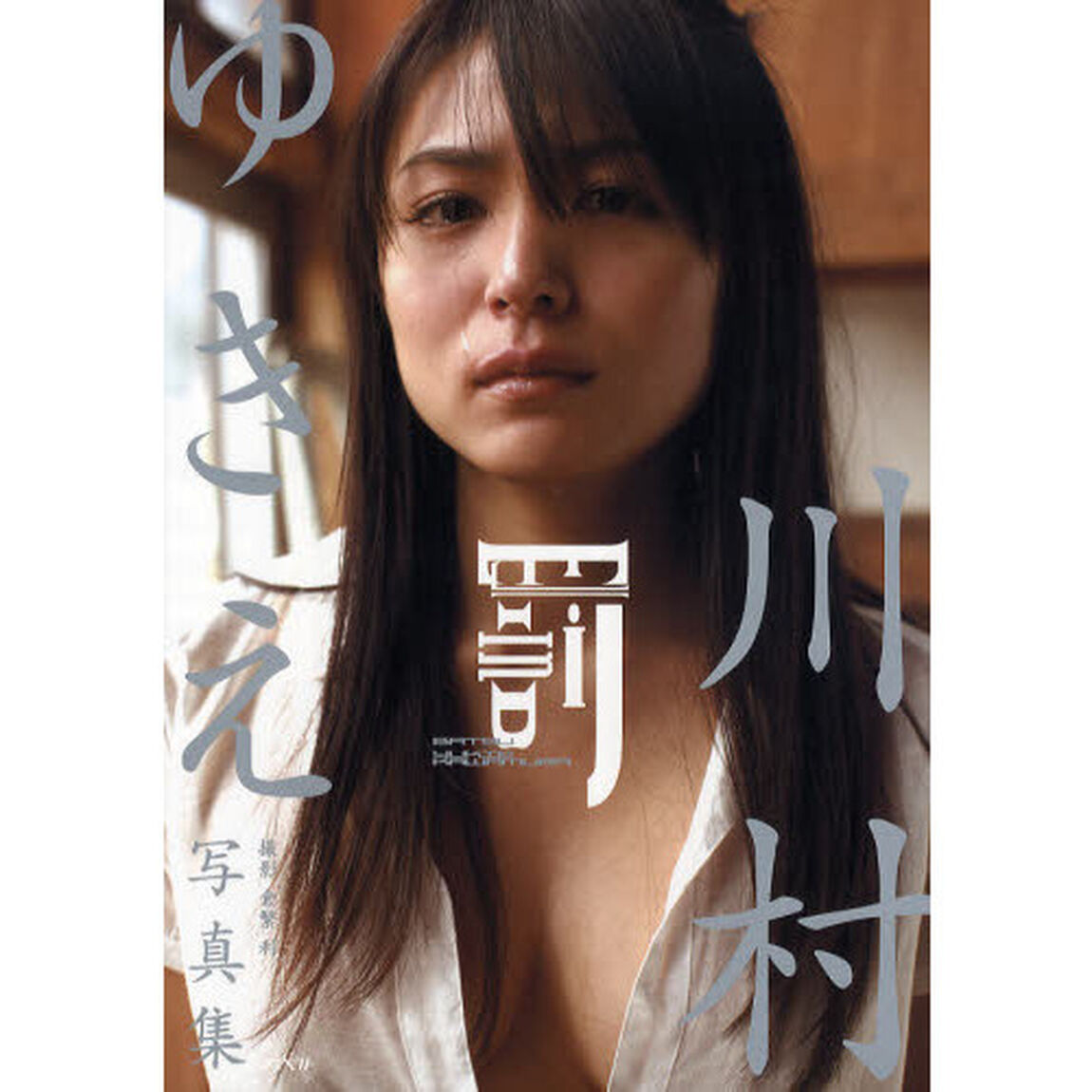 罰　川村ゆきえ写真集