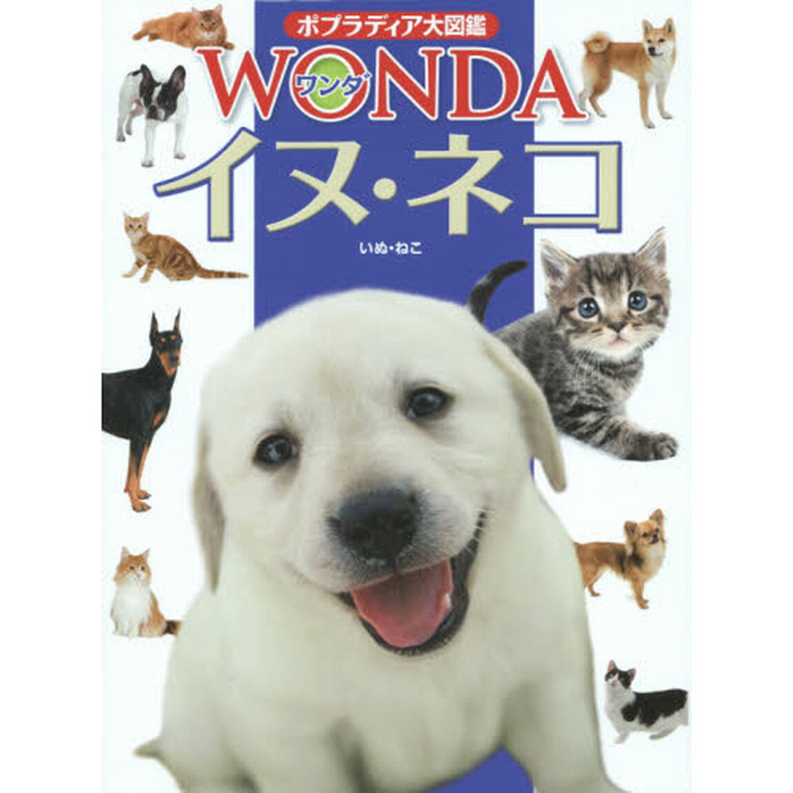 イヌ・ネコ