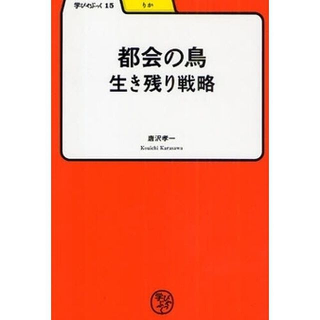 都会の鳥－生き残り戦略