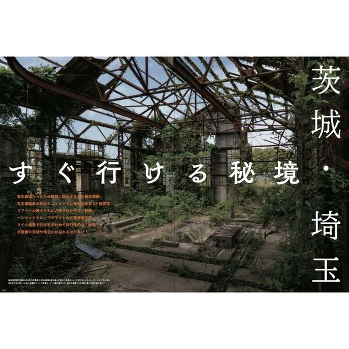ワンダーＪＡＰＯＮ　９