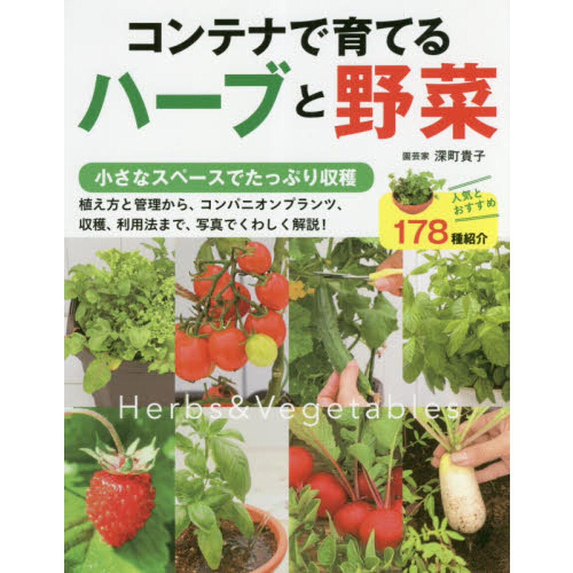 コンテナで育てるハーブと野菜