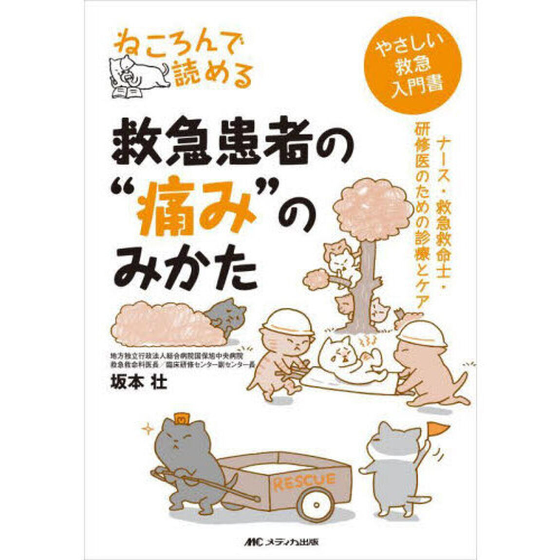 ねころんで読める救急患者の&ldquo;痛み&rdquo;のみかた　ナース・救急救命士・研修医のための診療とケア　やさしい救急入門書